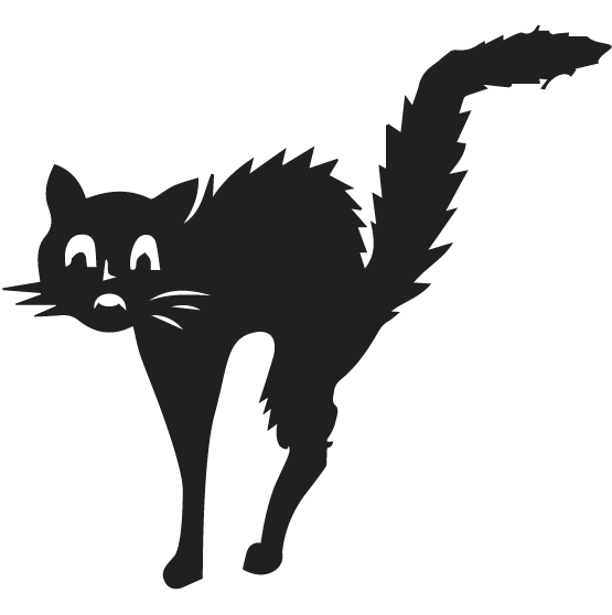 Fresh Fried China Cat